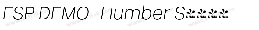 FSP DEMO   Humber S字体转换
